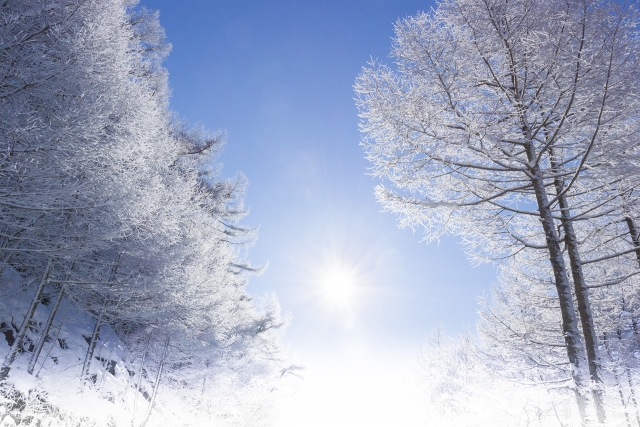 雪
